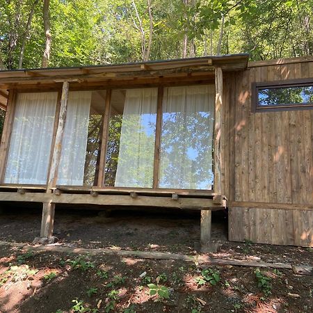 Suxen Nature Experience - Lodge Con Vista Panoramica Prepotto (Udine) Exterior foto